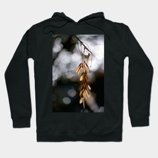 In the Silence of the Moment Hoodie